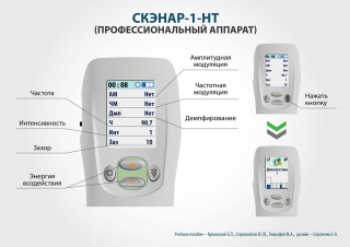 СКЭНАР-1-НТ (исполнение 01)  в Бердске купить Медицинская техника - denasosteo.ru 